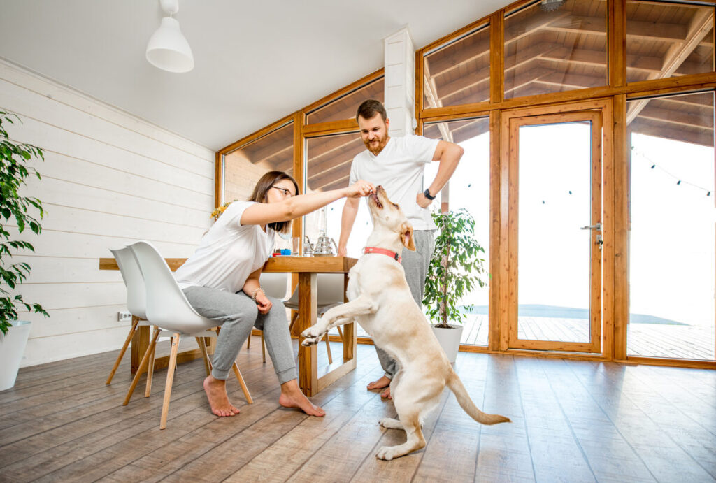 Living in Park of the Canals: Mesa’s Historic Gem for Comfortable Family Life